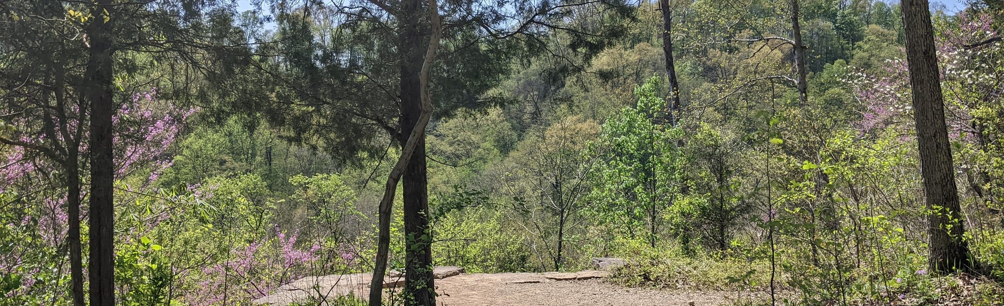 Clifty Falls 5 4 3 and 8 - EyJidWNrZXQiOiJhc3NldHMuYWxsdHJhaWxzLmNvbSIsImtleSI6InVwbG9hZHMvcGhvdG8vaW1hZ2UvNTg1MzczMzIvOTljMTg2ZDBjMzFlZDljMTYwMmJmMmYyZmIwNGVkMGIuanBnIiwiZWRpdHMiOnsidG9Gb3JtYXQiOiJqcGVnIiwicmVzaXplIjp7IndpZHRoIjoyMDQ0LCJoZWlnaHQiOjYyNCwiZml0IjoiY292ZXIifSwicm90YXRlIjpudWxsLCJqcGVnIjp7InRyZWxsaXNRdWFudGlzYXRpb24iOnRydWUsIm92ZXJzaG9vdERlcmluZ2luZyI6dHJ1ZSwib3B0aW1pc2VTY2FucyI6dHJ1ZSwicXVhbnRpc2F0aW9uVGFibGUiOjN9fX0=