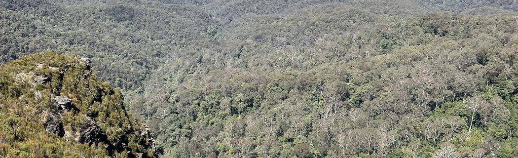 Easier than Giant Steps, but there are still a few steep steps to climb  coming up the Furber Steps – Katoomba, Blue Mountains