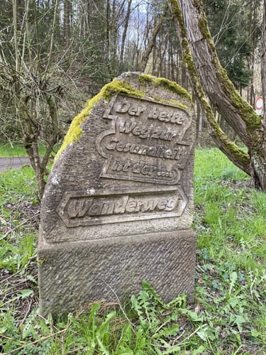 Schmetterlingsparadies bei Kempenich