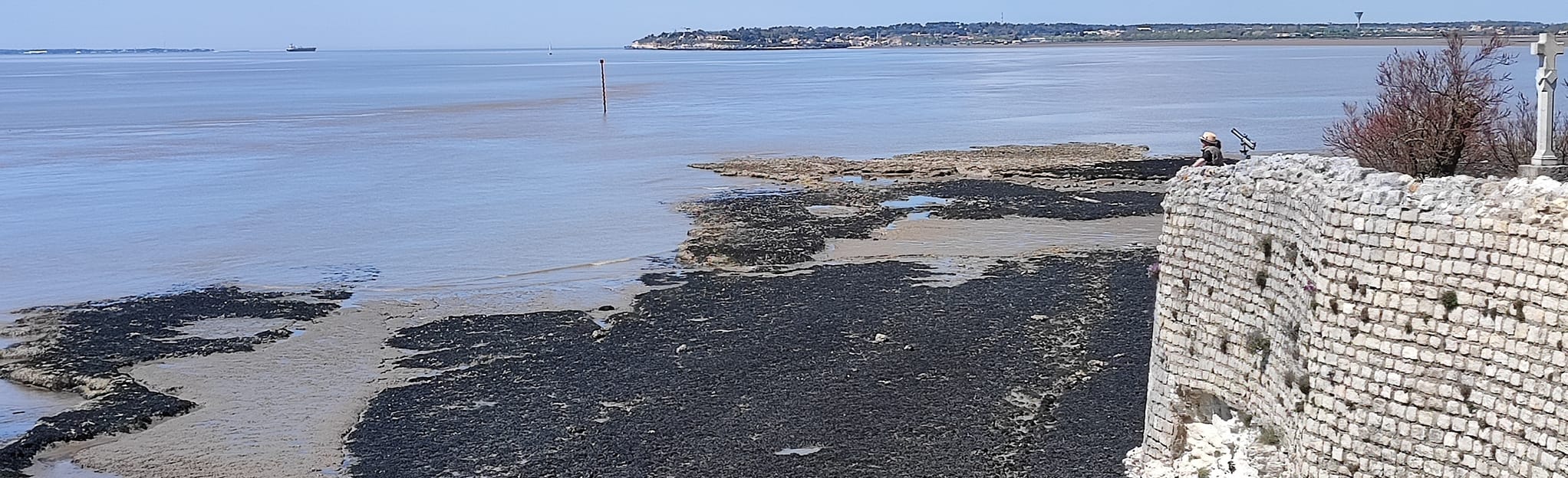 BarzanPlage Arces Fontenille, 46 Fotos CharenteMaritime, France