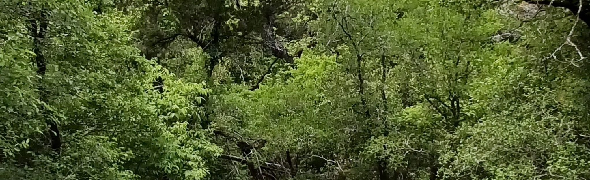 Johnson Creek Hike and Bike Trail 69 Reviews, Map Texas AllTrails