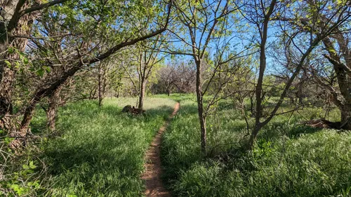 Western Wonders: 5 Scenic Hiking Trails in Abilene – Texas