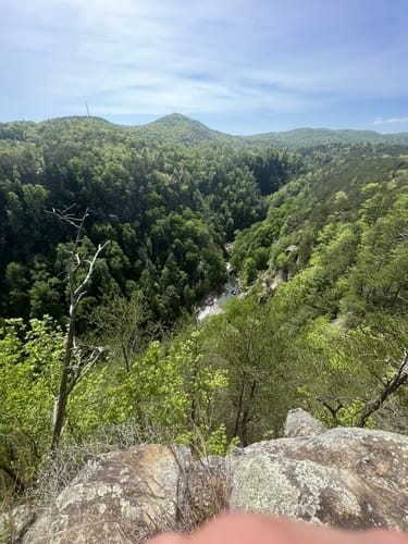Tallulah Gorge State Park Die - EyJidWNrZXQiOiJhc3NldHMuYWxsdHJhaWxzLmNvbSIsImtleSI6InVwbG9hZHMvcGhvdG8vaW1hZ2UvNTg1NTc0OTYvMjk0MDQ4OTE5YjQyNzM2OTM4ZjlhMzFmMTIwZmQ4NTUuanBnIiwiZWRpdHMiOnsidG9Gb3JtYXQiOiJqcGVnIiwicmVzaXplIjp7IndpZHRoIjo1MDAsImhlaWdodCI6NTAwLCJmaXQiOiJpbnNpZGUifSwicm90YXRlIjpudWxsLCJqcGVnIjp7InRyZWxsaXNRdWFudGlzYXRpb24iOnRydWUsIm92ZXJzaG9vdERlcmluZ2luZyI6dHJ1ZSwib3B0aW1pc2VTY2FucyI6dHJ1ZSwicXVhbnRpc2F0aW9uVGFibGUiOjN9fX0=