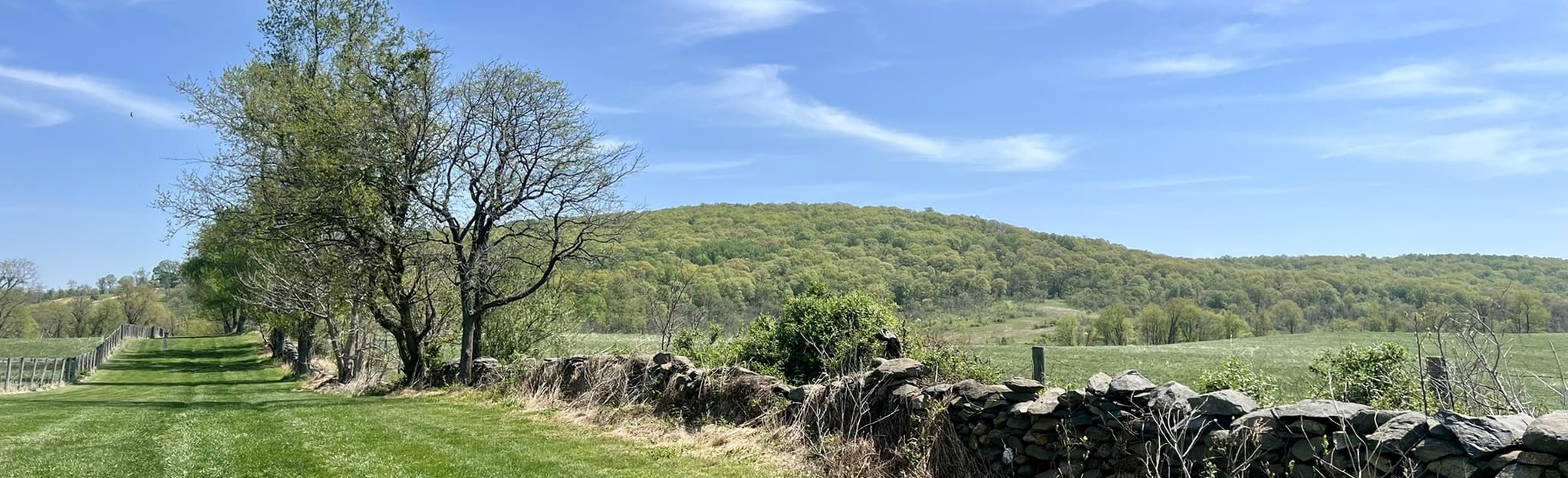 Rolling Meadows Trail 247 Reviews, Map Virginia AllTrails