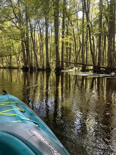 Best River Trails in Raeford | AllTrails