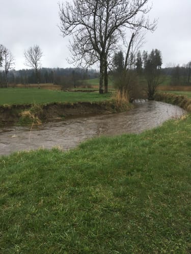 Staffelsee Rundweg