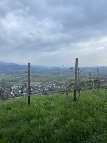 Über den Steinzeitpfad Ehrenkirchen