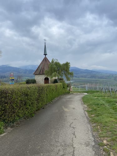 Über den Steinzeitpfad Ehrenkirchen