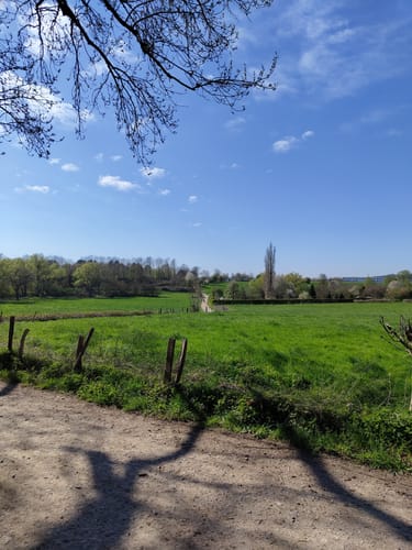 Haarberg
