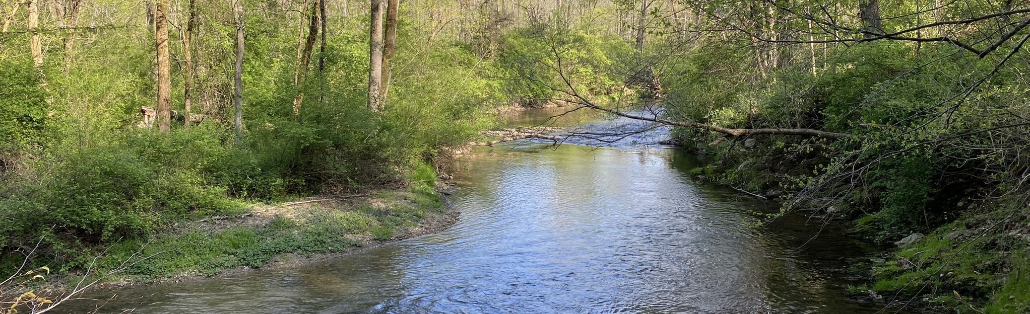 Paradise Farm Nature Trail: 204 Reviews, Map - Pennsylvania | AllTrails