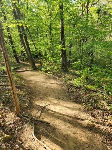 Best Hikes And Trails In Ivy Creek Park Alltrails