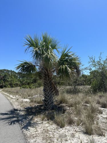 Best Hikes And Trails In Shamrock Park And Nature Center 