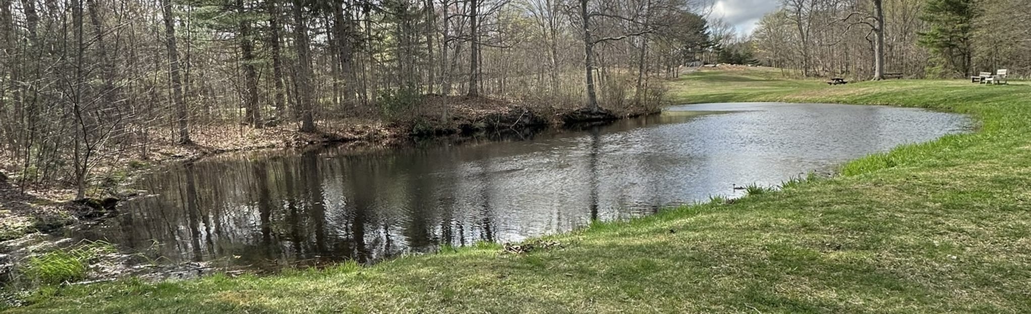 Leadmine Brook Loop 494 Photos Connecticut Randonnée AllTrails