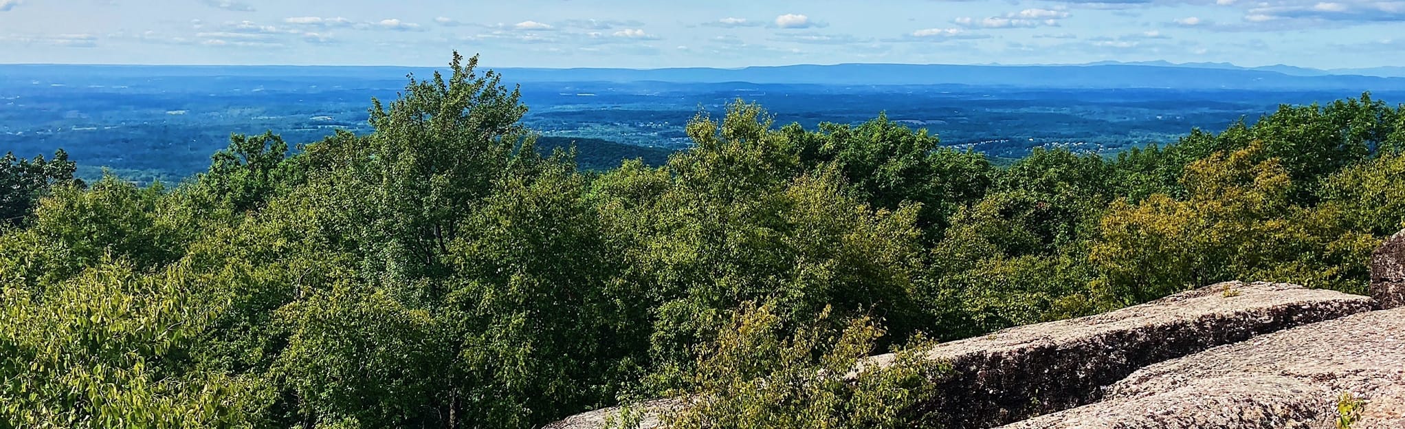 Schunnemunk Mountain via Jessup Trail, New York 130 Reviews, Map