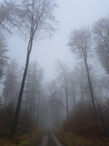 Eichenberg zu dem Gersberg