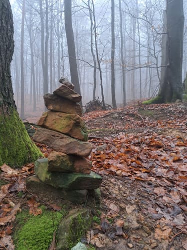 Eichenberg zu dem Gersberg