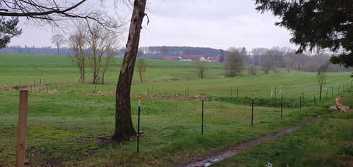 H7 Wolfhagen: Im Land der Riesen (Extratour)
