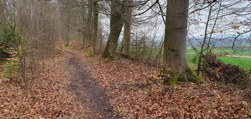 H7 Wolfhagen: Im Land der Riesen (Extratour)