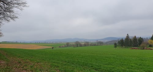 H7 Wolfhagen: Im Land der Riesen (Extratour)