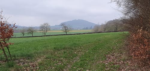 H7 Wolfhagen: Im Land der Riesen (Extratour)