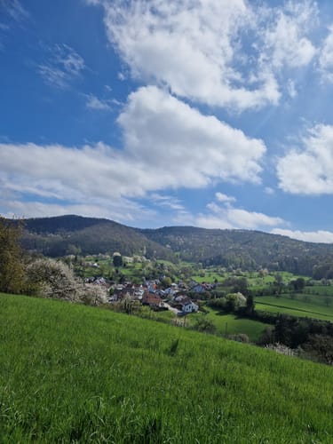 Bensheim: Hohlwege Lehrpfad