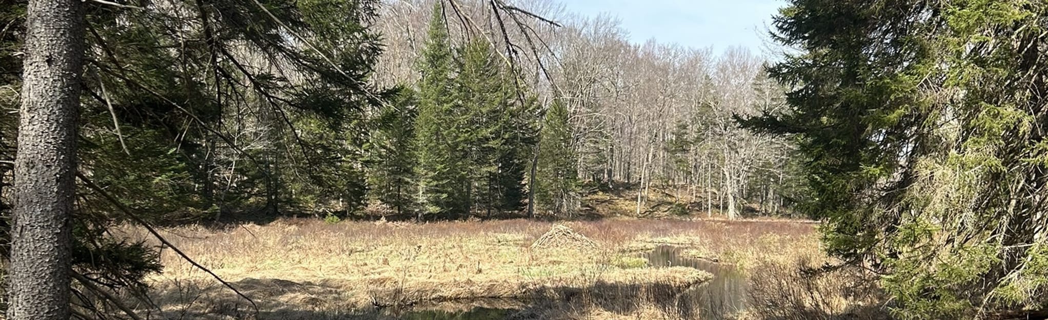 Stone Dam Trail, New York 31 Reviews, Map AllTrails