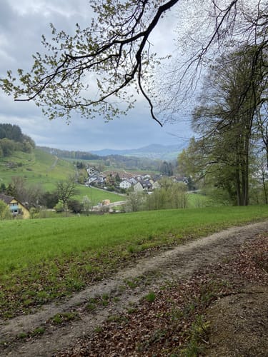 Über den Steinzeitpfad Ehrenkirchen