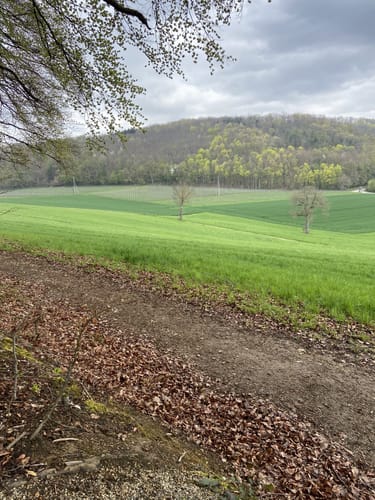 Über den Steinzeitpfad Ehrenkirchen