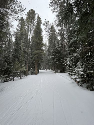 Best Hikes and Trails in Cucumber Gulch Designated Wildlife Preserve ...