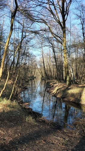 Kleine Aussichtsplattform Runde von Blankenfelde