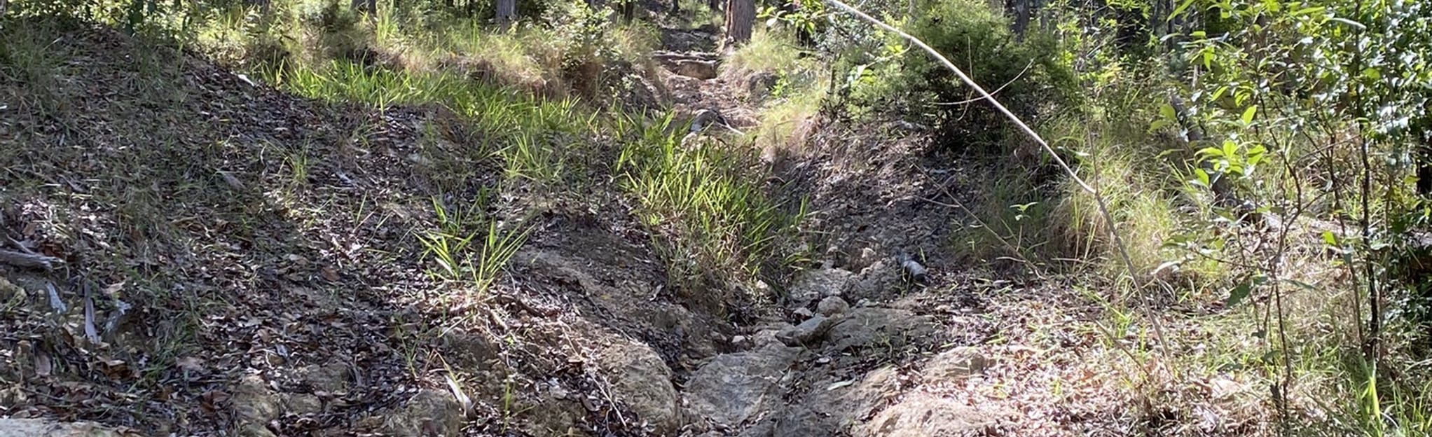 Mapleton Explorer, Queensland, Australia 4 Reviews, Map AllTrails