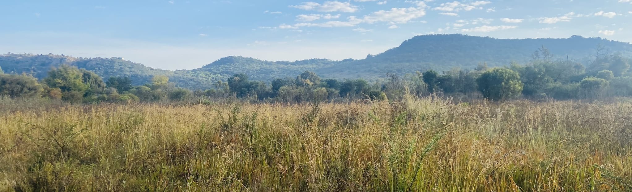 Faerie Glen Nature Reserve Loop, Gauteng, South Africa 247 Reviews