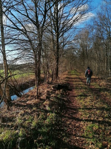 Am Schülper Moor