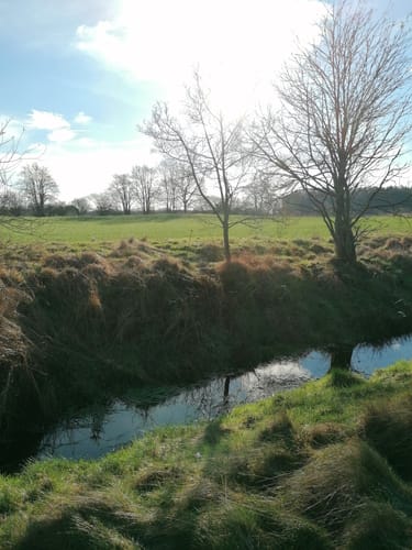 Am Schülper Moor