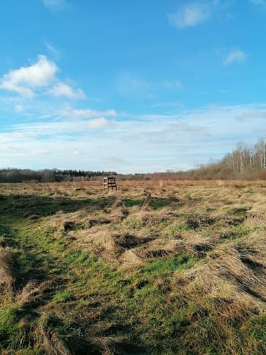 Am Schülper Moor