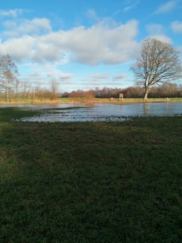Am Schülper Moor