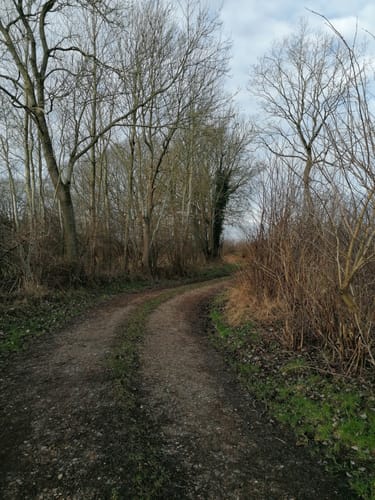 Am Schülper Moor