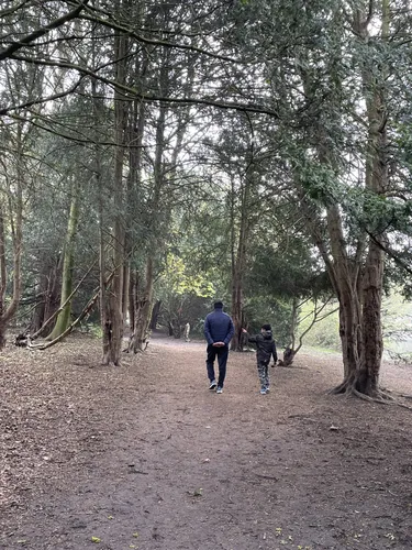 Best Dog Friendly Trails in Hounslow | AllTrails