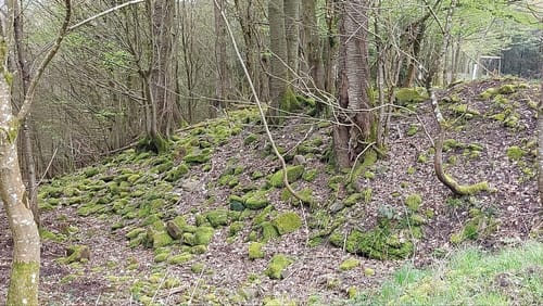 Burgberg - Hochmark