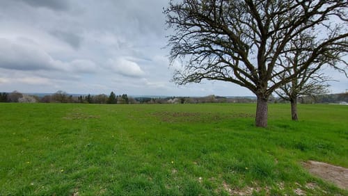 Burgberg - Hochmark