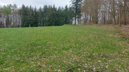 Burgberg - Hochmark