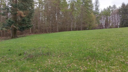 Burgberg - Hochmark