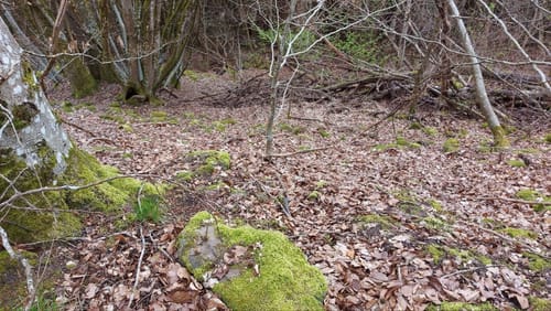 Burgberg - Hochmark