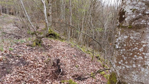 Burgberg - Hochmark