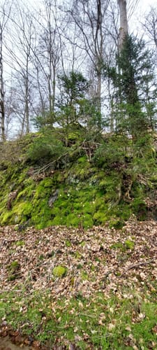 Aus Mauloff um den Bremer Berg