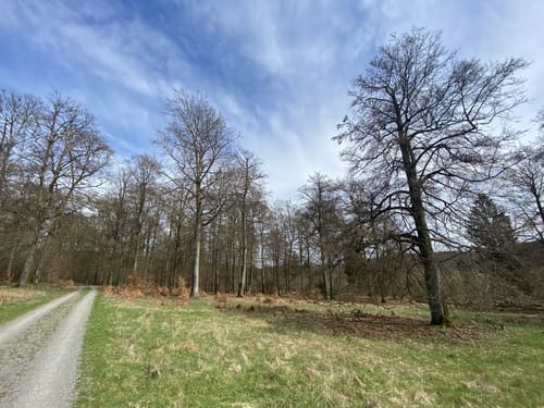 Fahrentriesch Rundweg