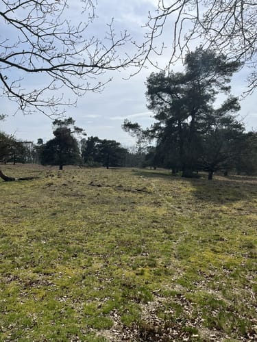 Waldlehr- und Erlebnispfad Störkathener Heide
