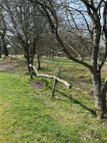 Waldlehr- und Erlebnispfad Störkathener Heide