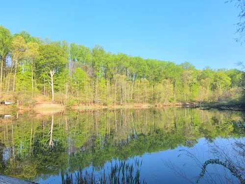 Exploring New Jerseys Birding Trails