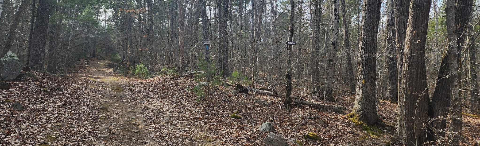 Mount Tom and Bald Hill Brook Trail, Rhode Island 98 Reviews, Map